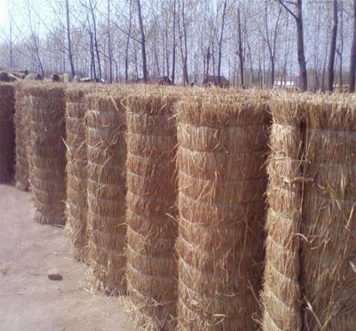 當(dāng)溫室大棚遇到暴雪該如何應(yīng)對(duì) 今天簡(jiǎn)單和大家分享一下